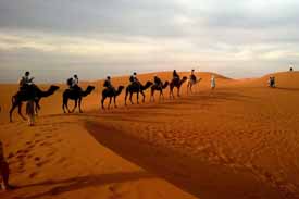 Camel Safari, India Camel Safari Tour, Camel Safari Tour Booking, Desert Safari Tour Rajasthan, Rajasthan Camel Desert Safari